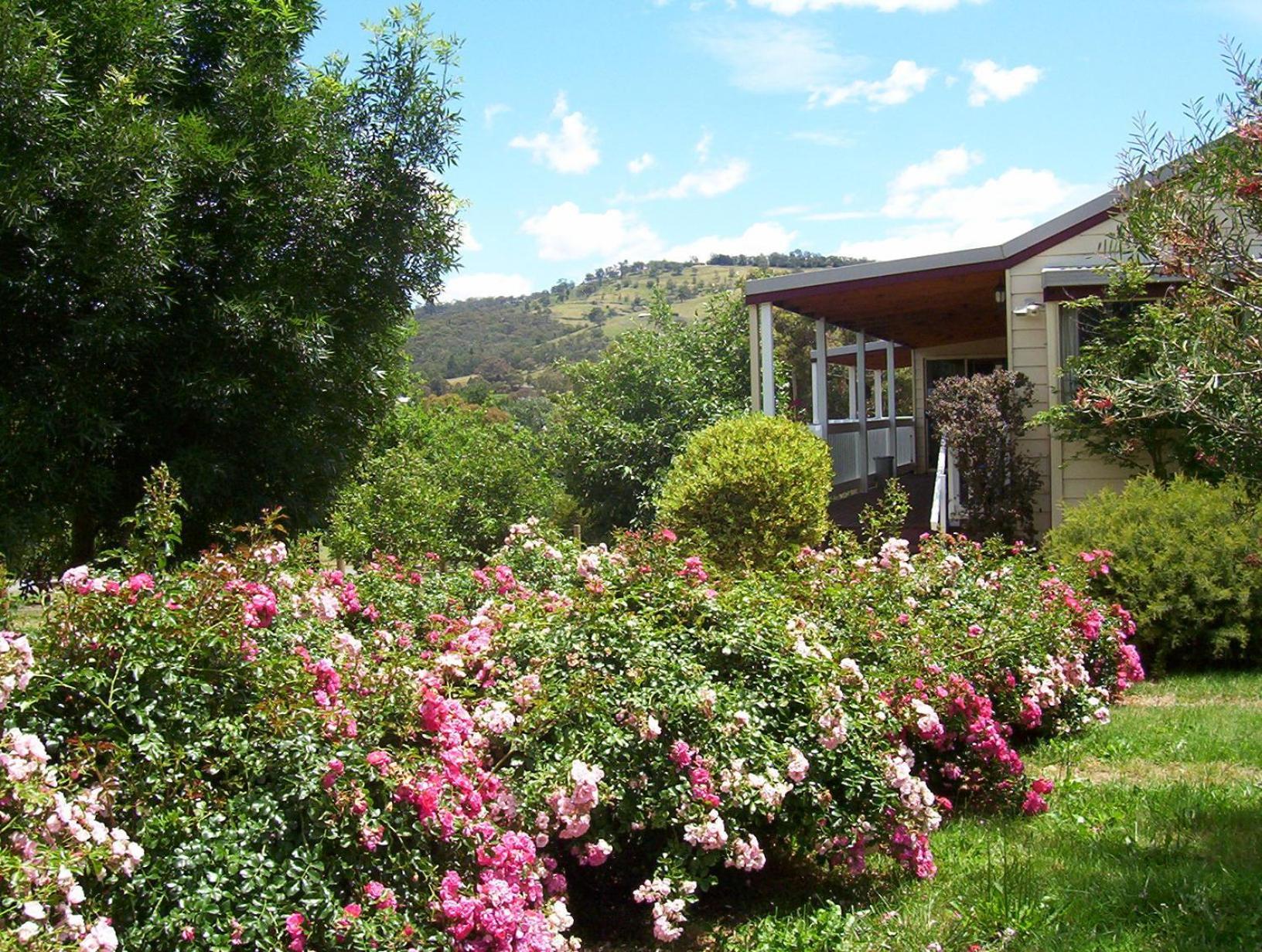 Yarra Glen Bed & Breakfast Esterno foto